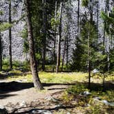 Review photo of Lodgepole Campground by Dexter I., September 3, 2018