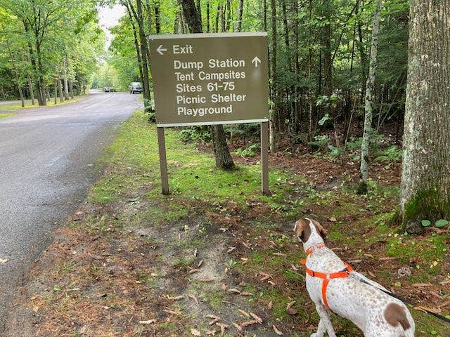 MickandKarla W.'s photo of camping with pets at COE Leech Lake Reservoir Leech Lake Recreation Area near Bovey, MN