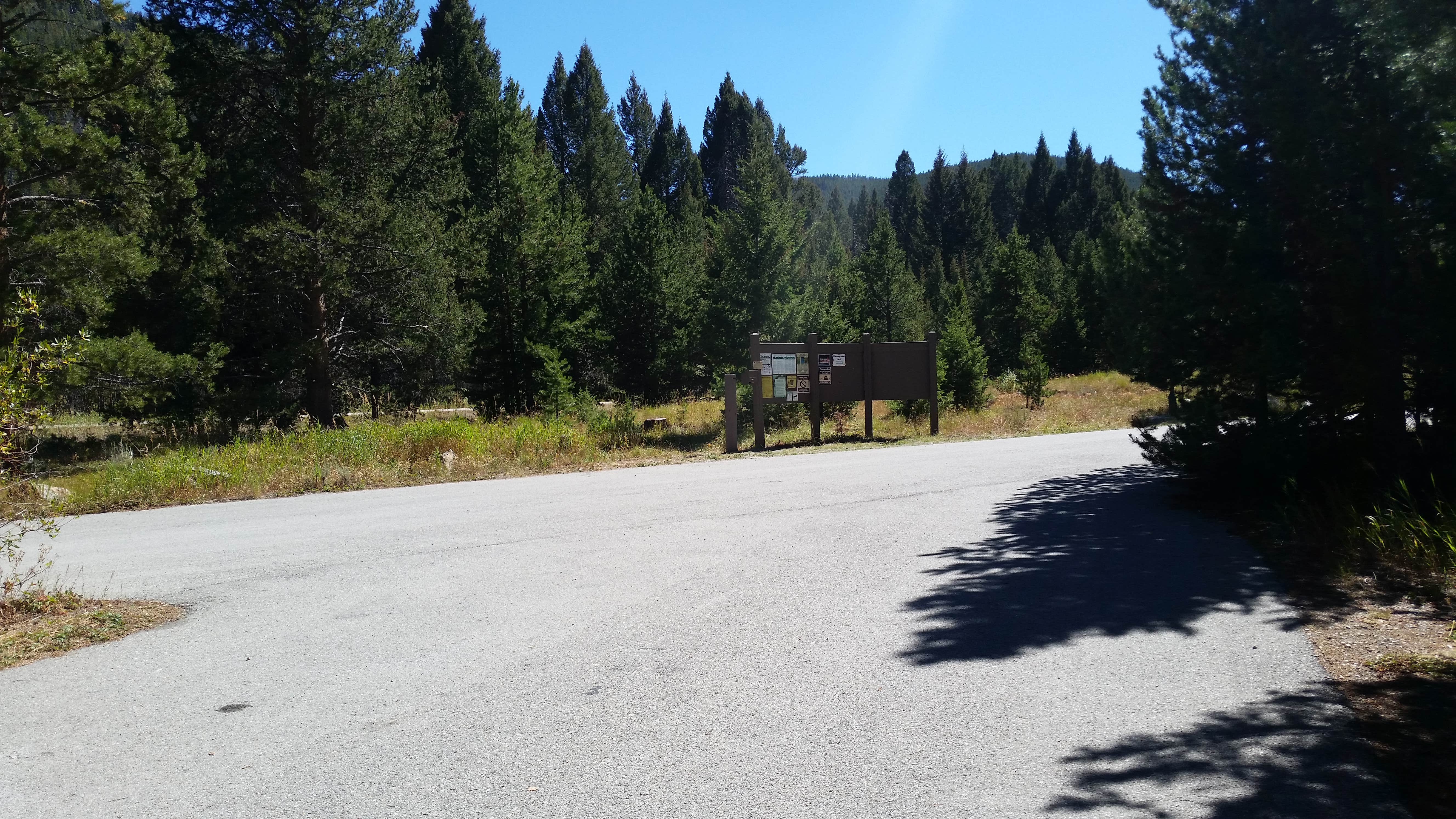 Lodgepole Campground The Dyrt