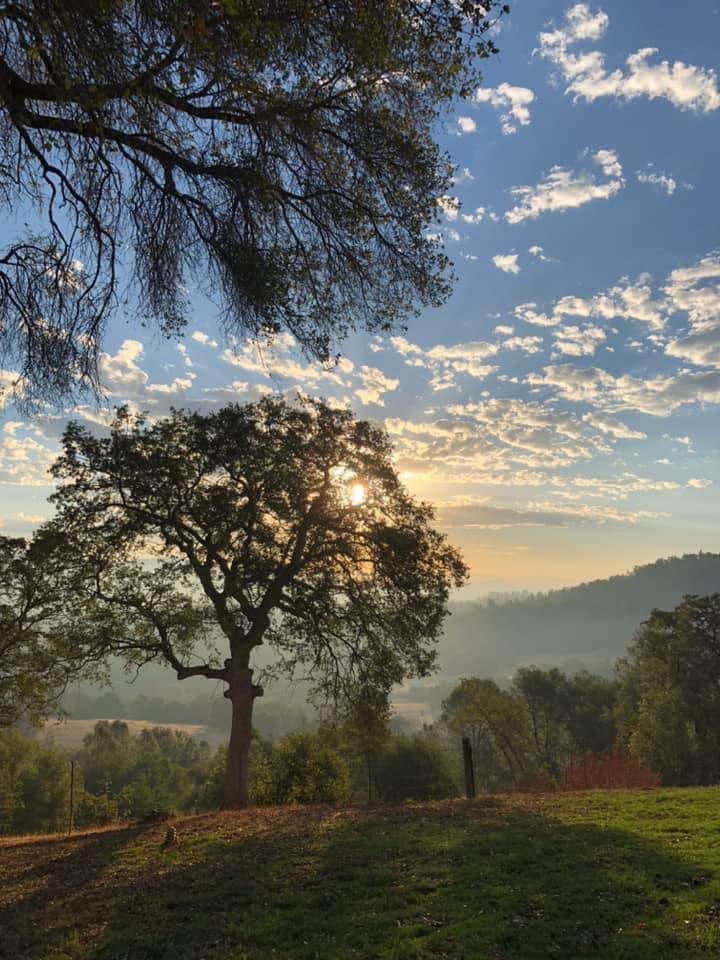 Camper-submitted photo at Diamond Gulch near Cedar Ridge, CA