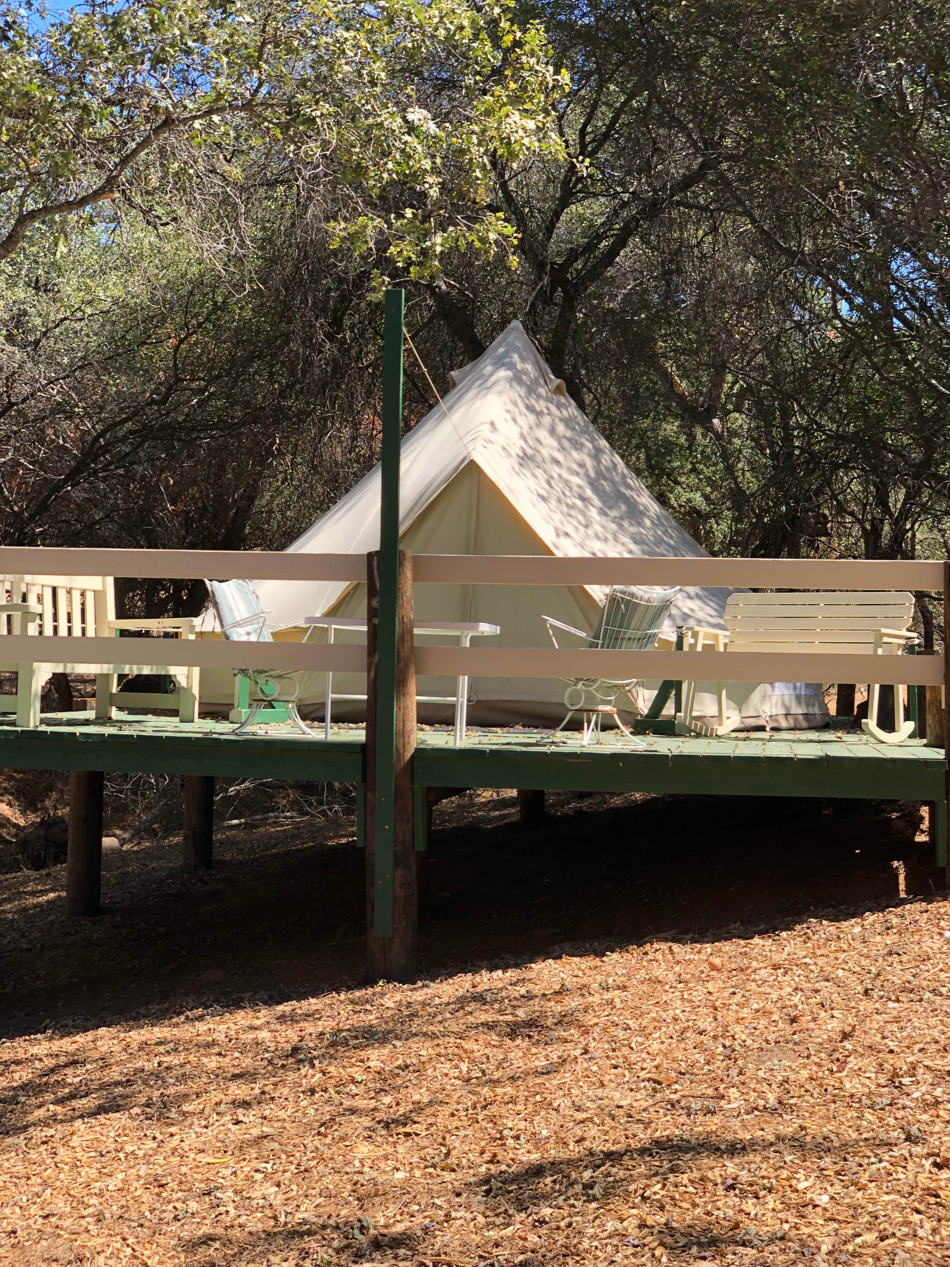 Camper-submitted photo at Diamond Gulch near Cedar Ridge, CA