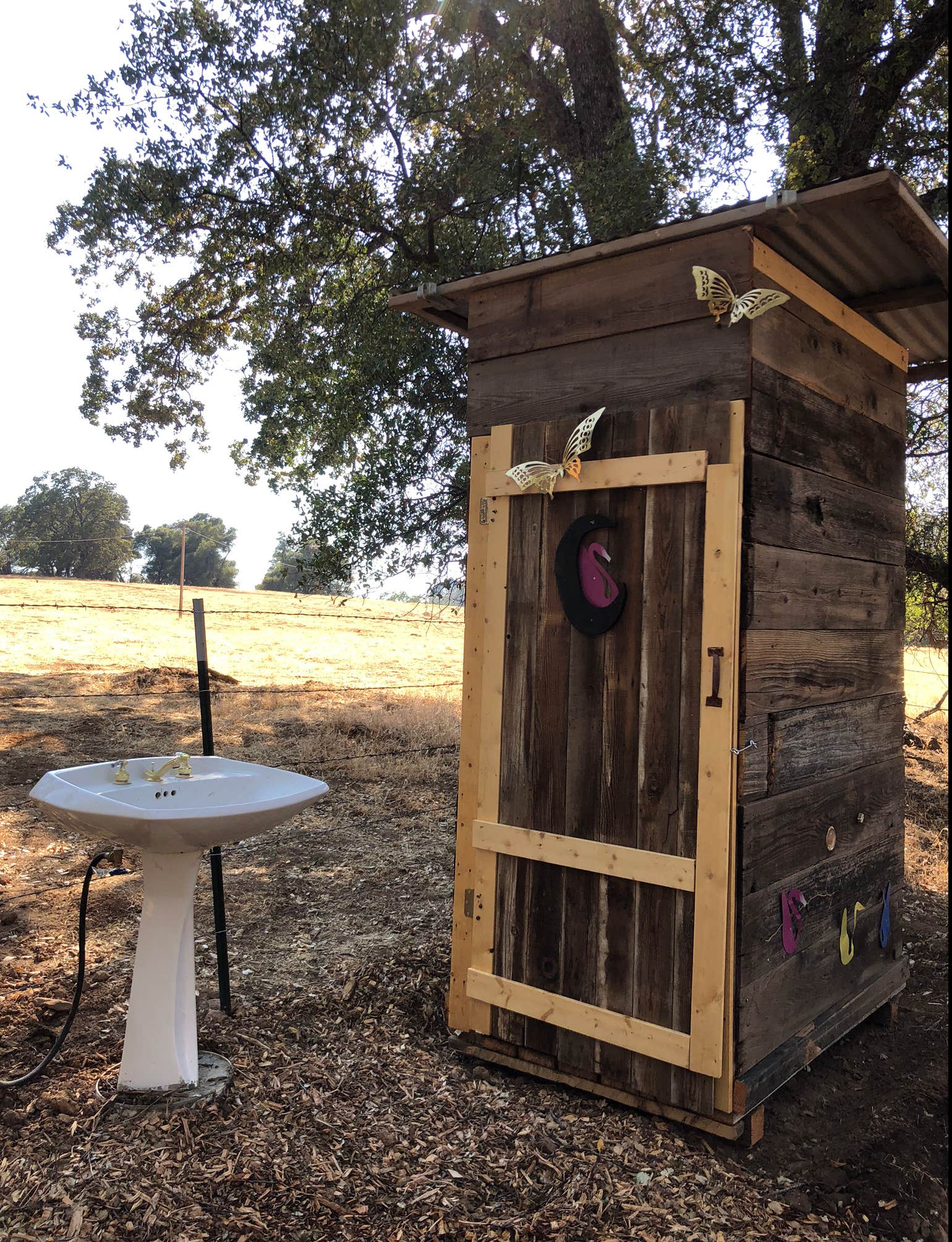 Camper-submitted photo at Diamond Gulch near Cedar Ridge, CA