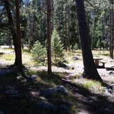 Review photo of Lodgepole Campground by Dexter I., September 3, 2018