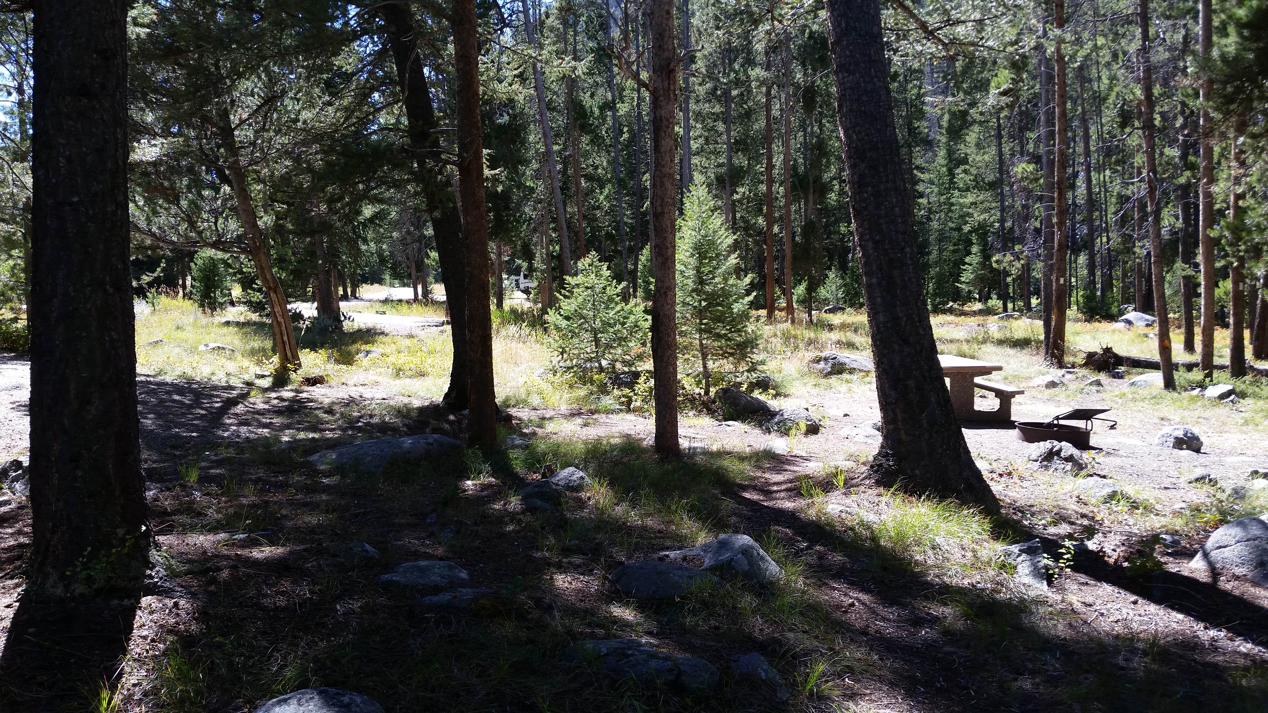Camper submitted image from Lodgepole Campground - 3