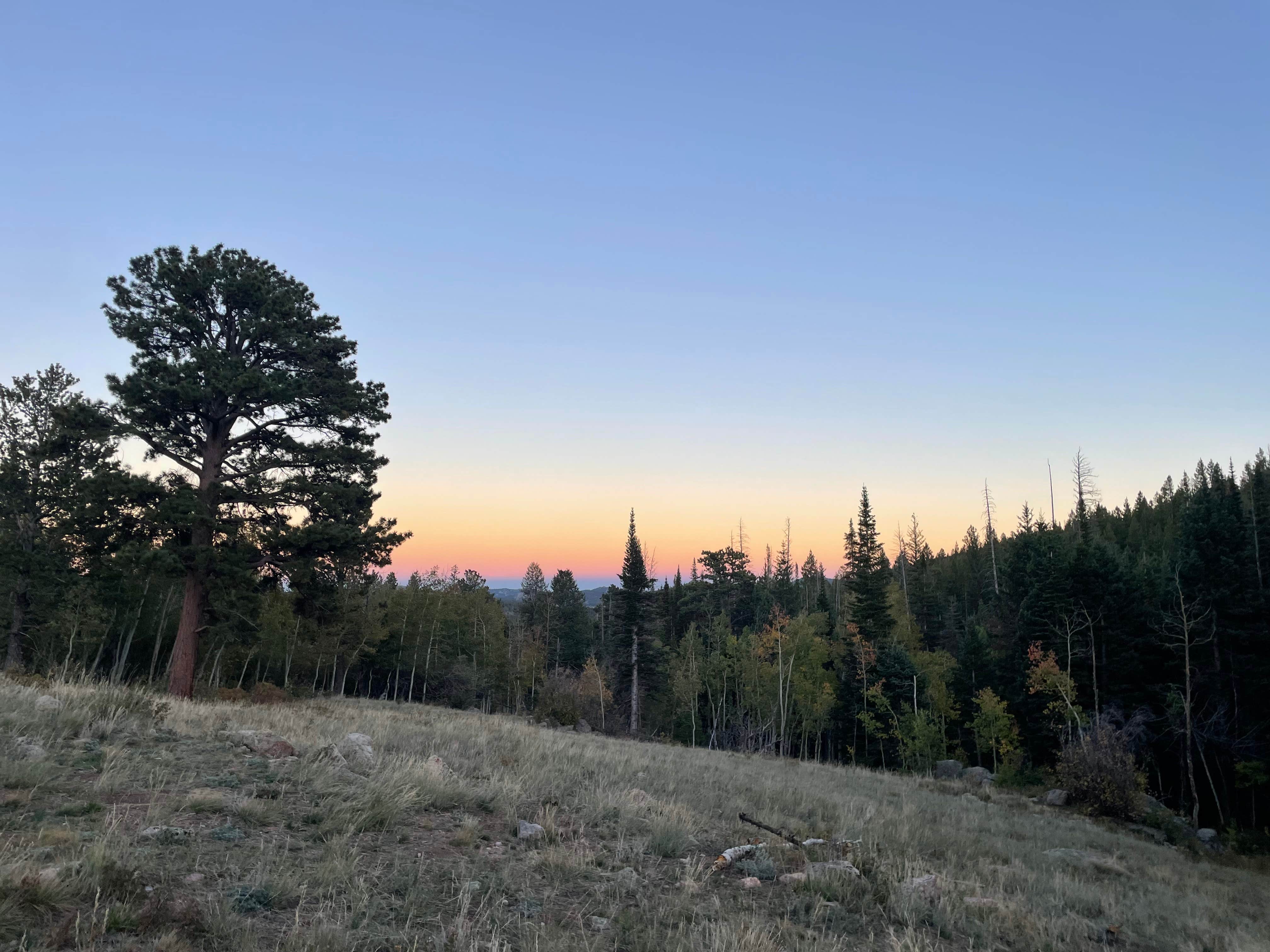 Camper-submitted photo at Deadman Road - Dispersed Site near Red Feather Lakes, CO
