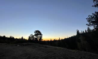 Jade M.'s photo of a dispersed camping area at Deadman Road - Dispersed Site near Laporte, CO