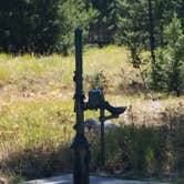 Review photo of Lodgepole Campground by Dexter I., September 3, 2018