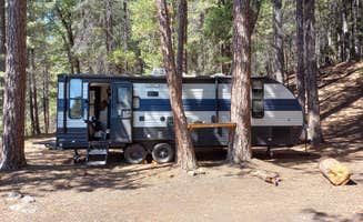 Tj L.'s photo at N 45 Rd Dispersed Area near Castella, CA