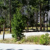 Review photo of Lodgepole Campground by Dexter I., September 3, 2018