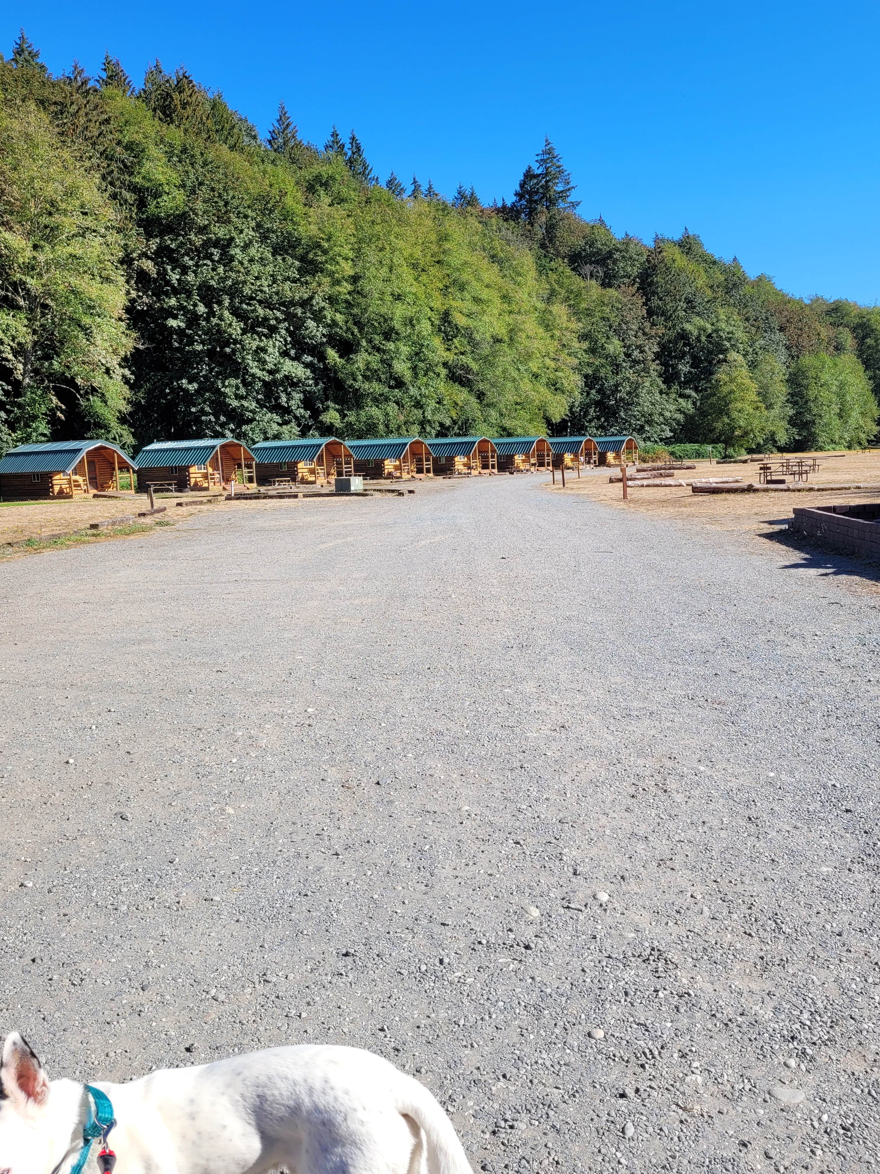 Jamie A.'s photo of camping with pets at Thousand Trails Grandy Creek near Concrete, WA