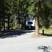 Review photo of Lodgepole Campground by Dexter I., September 3, 2018