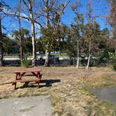 Review photo of Pier 4 RV Resort by Amy & Stu B., September 24, 2022