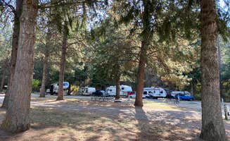 Amy & Stu B.'s photo at Liberty Lake RV Campground near Greenacres, WA