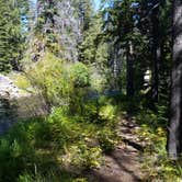 Review photo of Lodgepole Campground by Dexter I., September 3, 2018