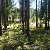 Review photo of Lodgepole Campground by Dexter I., September 3, 2018