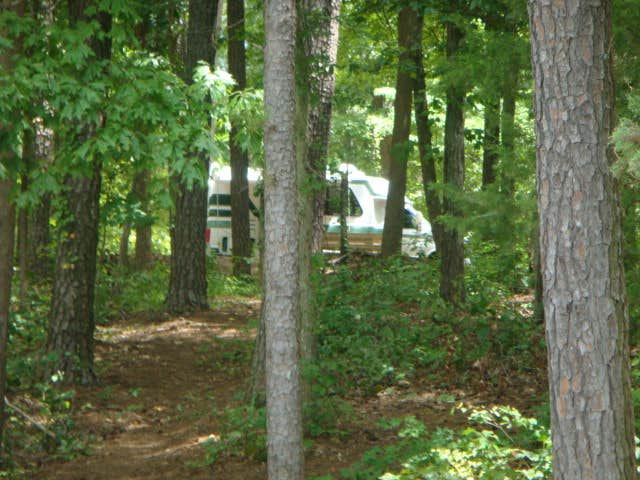 Camper submitted image from Joe Wheeler State Park Campground - 2
