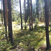 Review photo of Lodgepole Campground by Dexter I., September 3, 2018