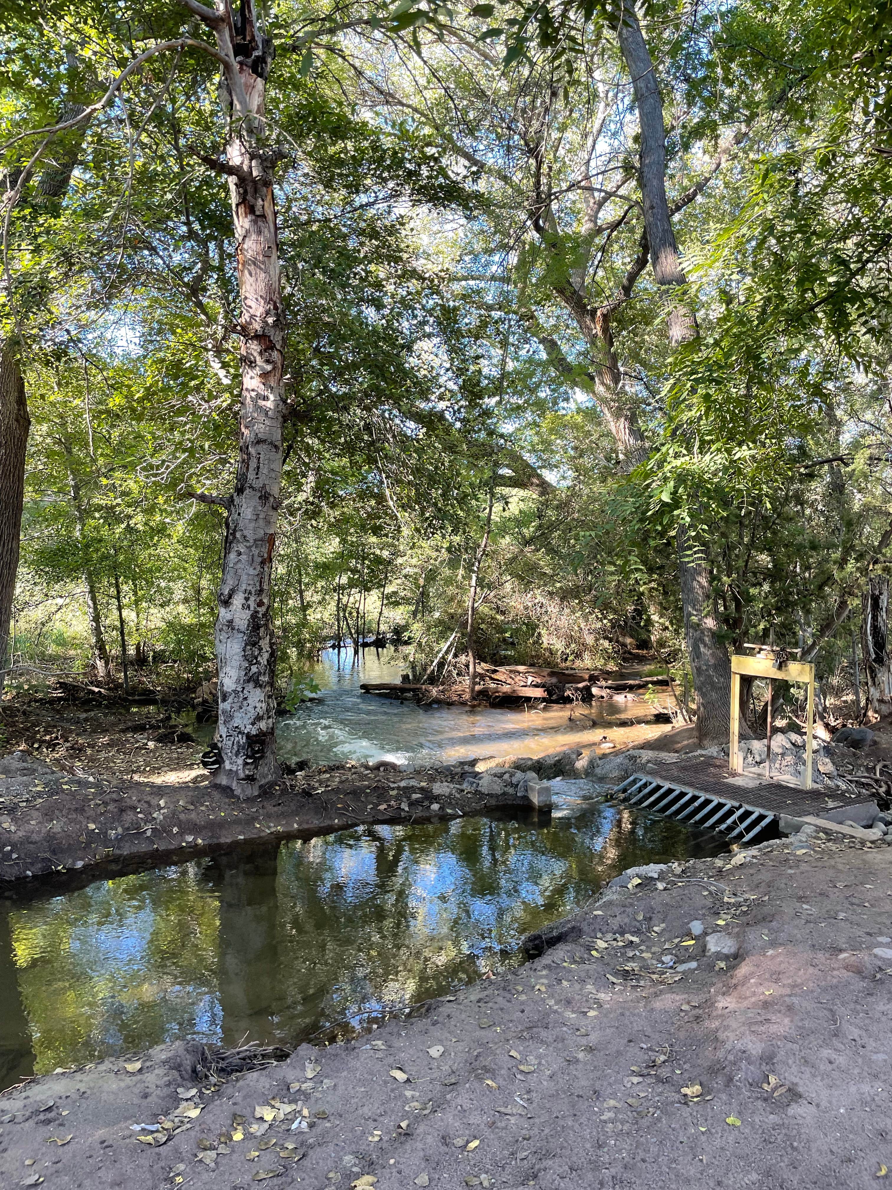 Escape to Serenity: Mississippi's Hidden Gem - Clear Creek Campground