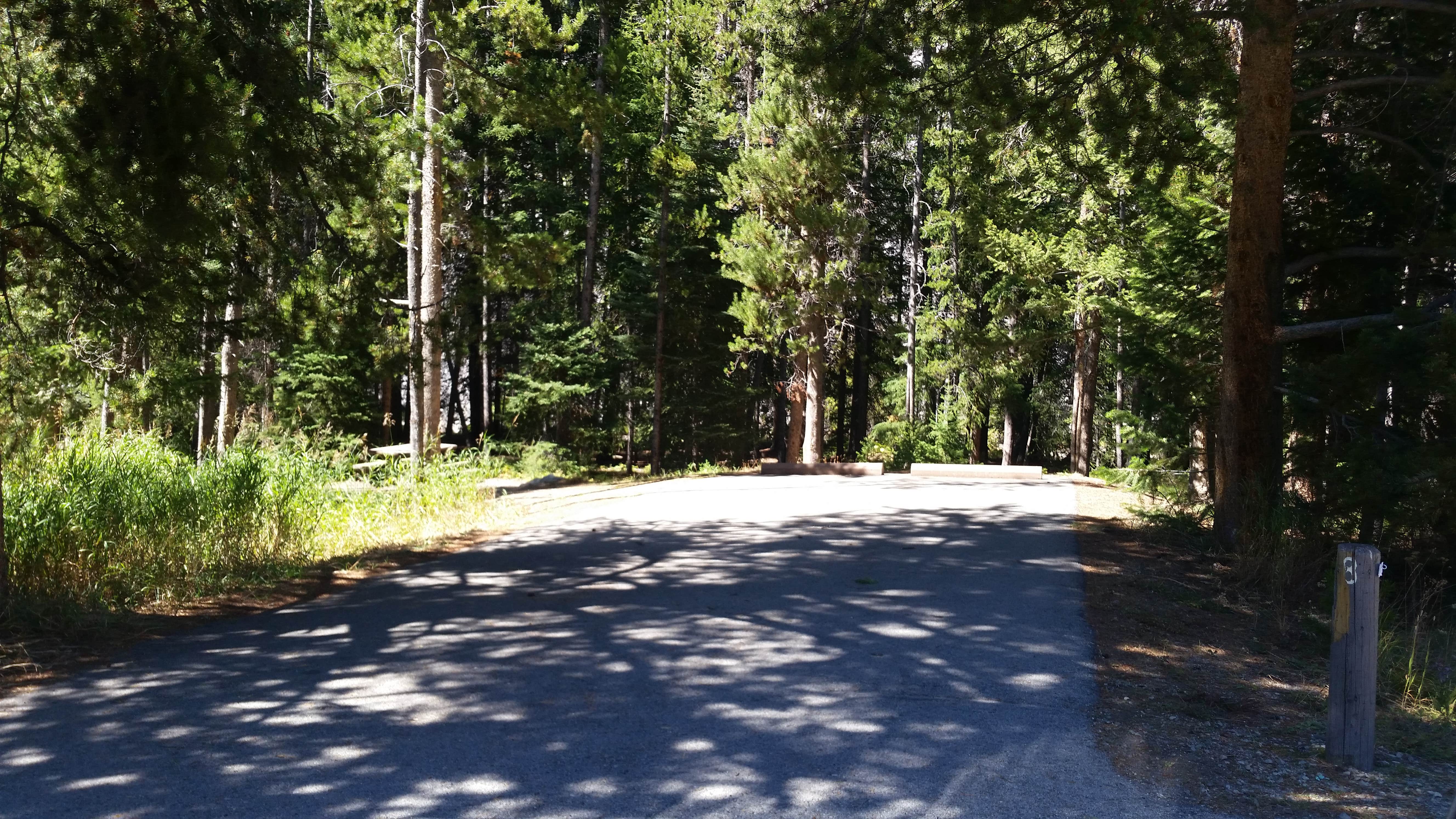 Camper-submitted photo at Lodgepole Campground near Beaverhead-Deerlodge National Forest