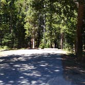 Review photo of Lodgepole Campground by Dexter I., September 3, 2018