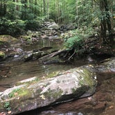 Review photo of Big Creek Campground — Great Smoky Mountains National Park by Nick , September 24, 2022