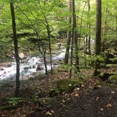 Review photo of Big Creek Campground — Great Smoky Mountains National Park by Nick , September 24, 2022