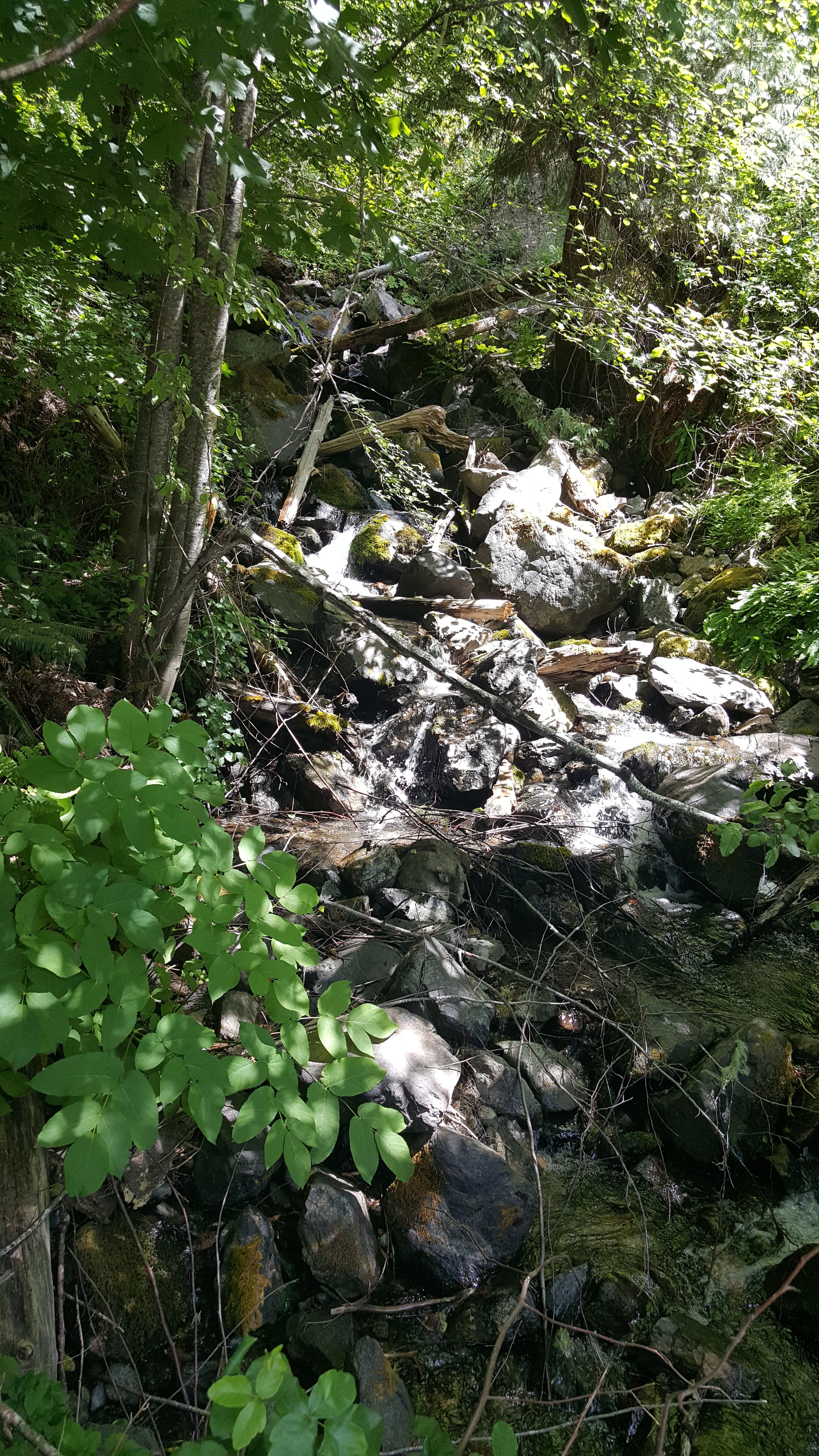 Creek near the campsites 