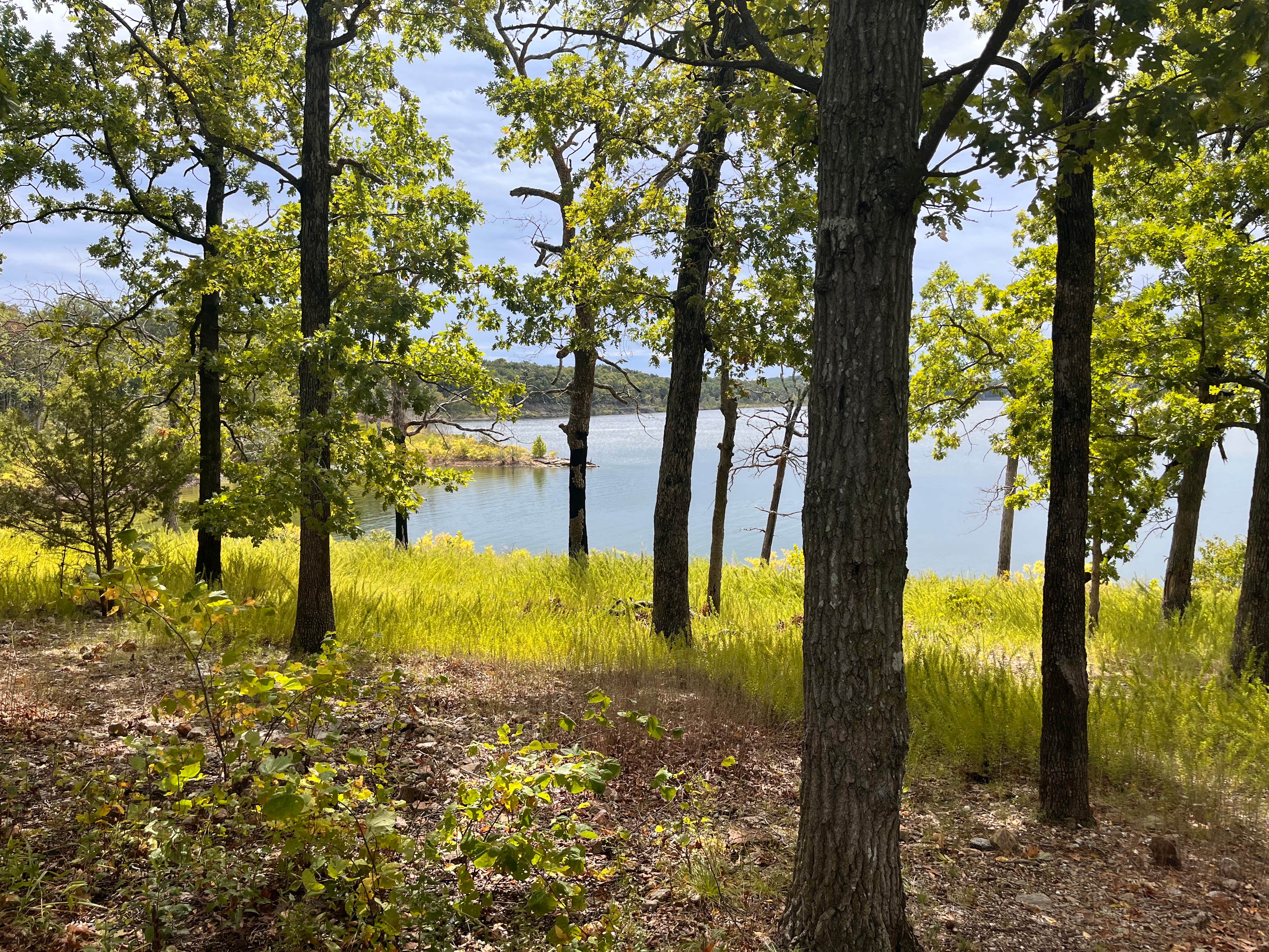 Camper submitted image from Hermitage State Park Campground - 1