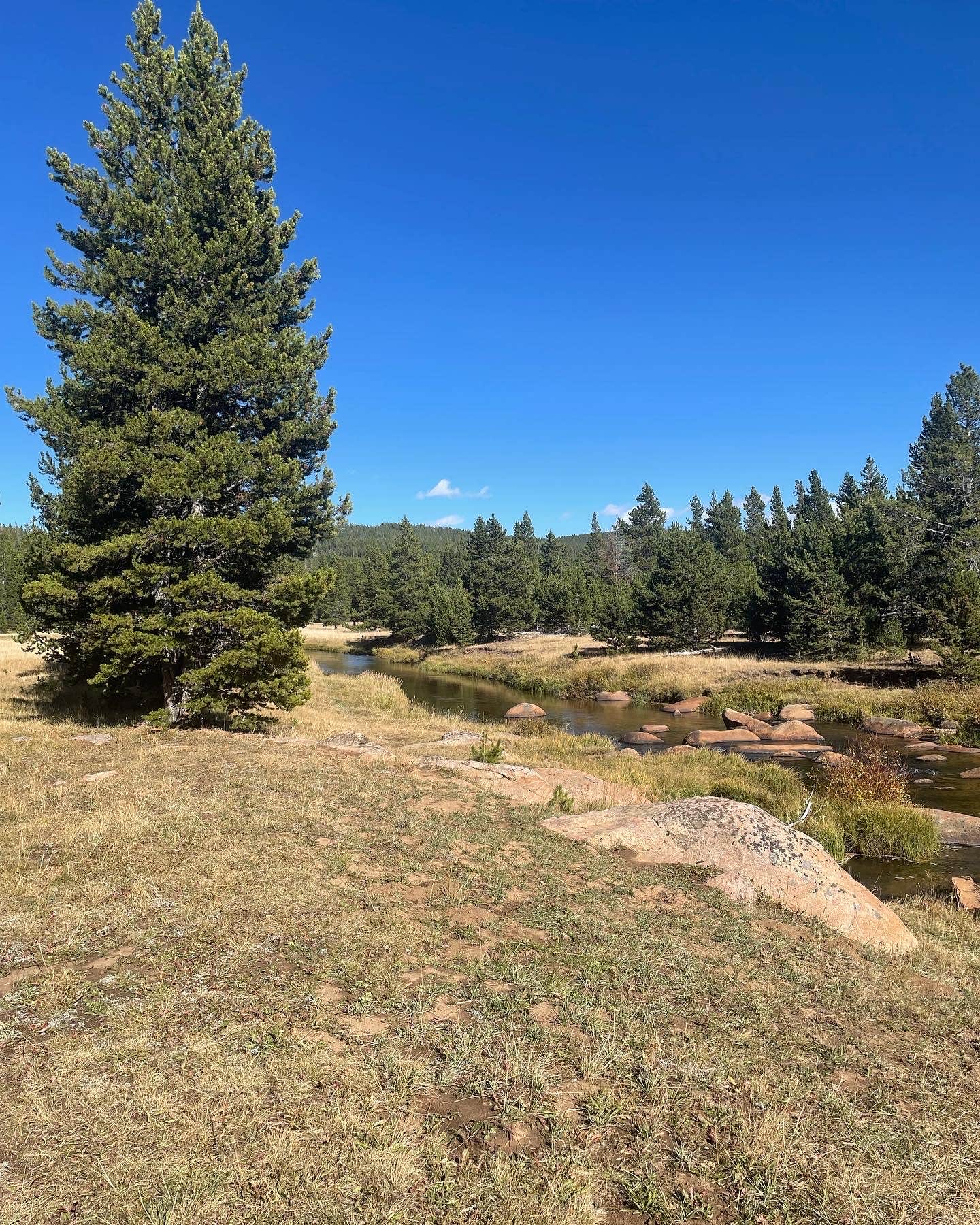 Camper-submitted photo at Bighorn National Forest Tie Flume Campground near Wolf, WY