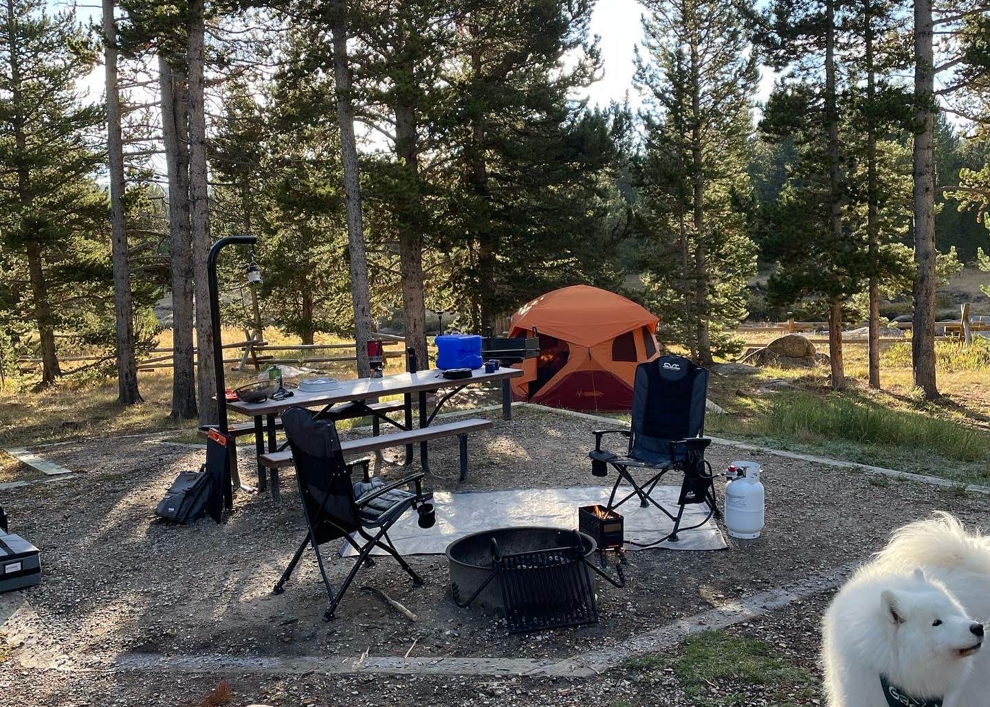 Bighorn National Forest Tie Flume Campground Camping | The Dyrt