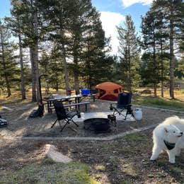 Public Campgrounds: Bighorn National Forest Tie Flume Campground