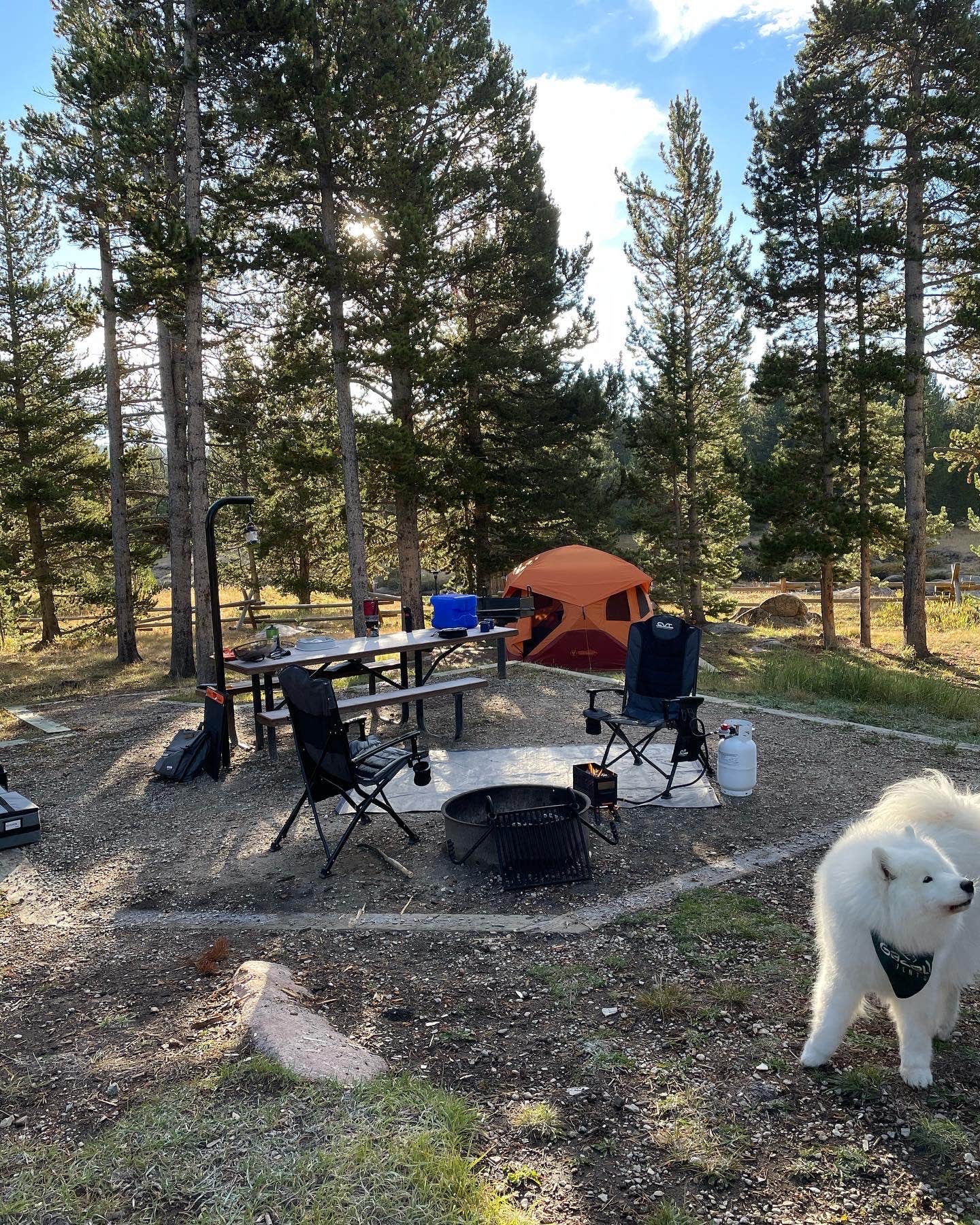 Camper submitted image from Bighorn National Forest Tie Flume Campground - 1