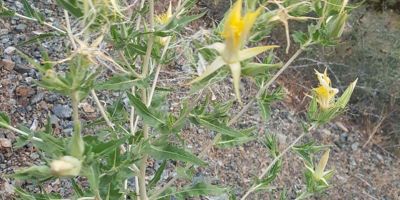 Camper submitted image from Tin Can