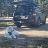 Review photo of Bighorn National Forest Tie Flume Campground by Bryan P., September 25, 2022