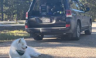 Bryan P.'s photo of camping with pets at Bighorn National Forest Tie Flume Campground near Dayton, WY