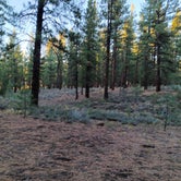 Review photo of Logger Campground by Davidson L. H., September 25, 2022