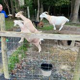 Review photo of Arrowhead Bike Farm by Cydney S., September 25, 2022