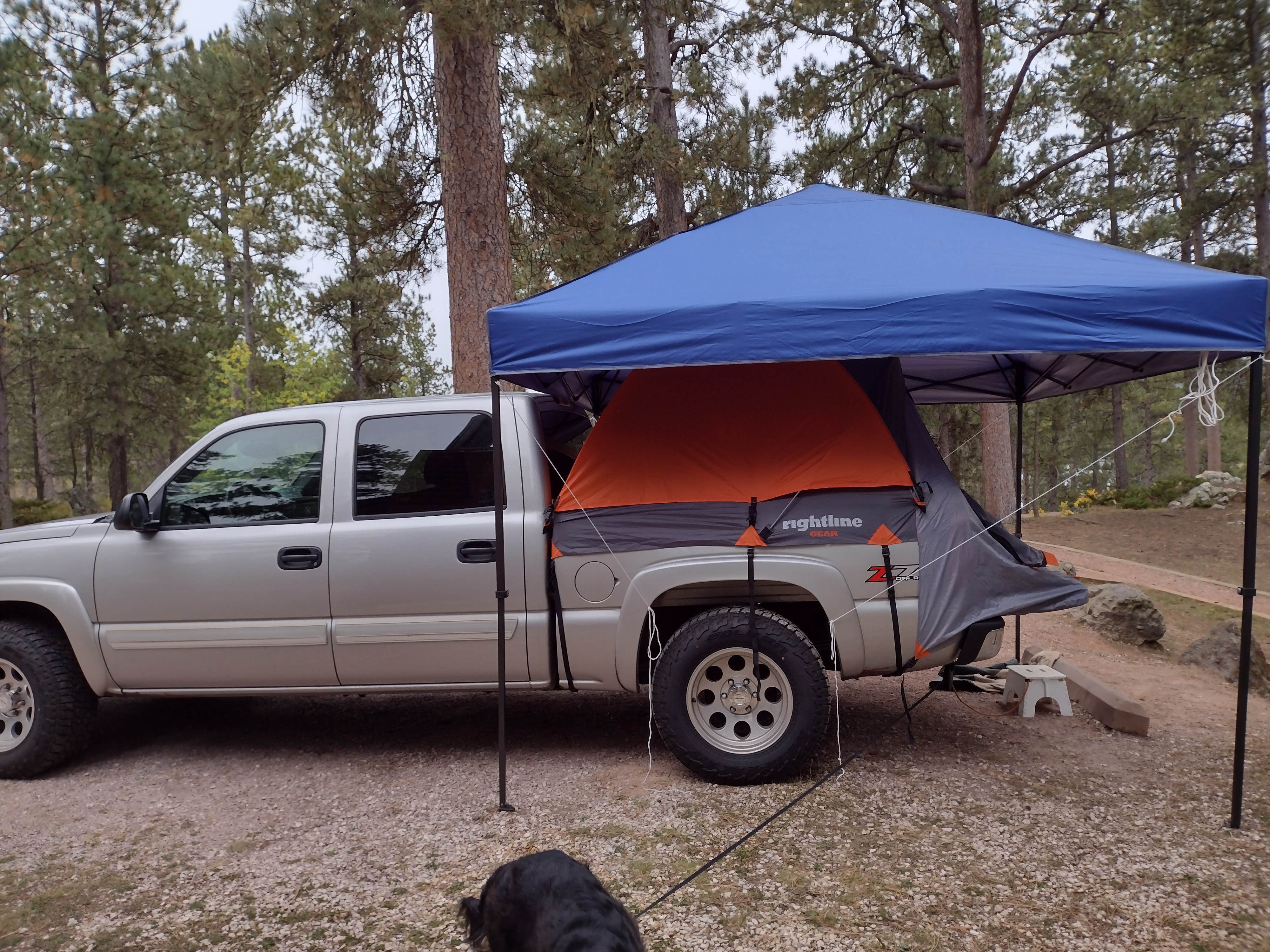 Leslie B.'s photo of camping with pets at Bismarck Lake Campground near Custer, SD