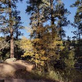 Review photo of Bismarck Lake Campground by Leslie B., September 25, 2022