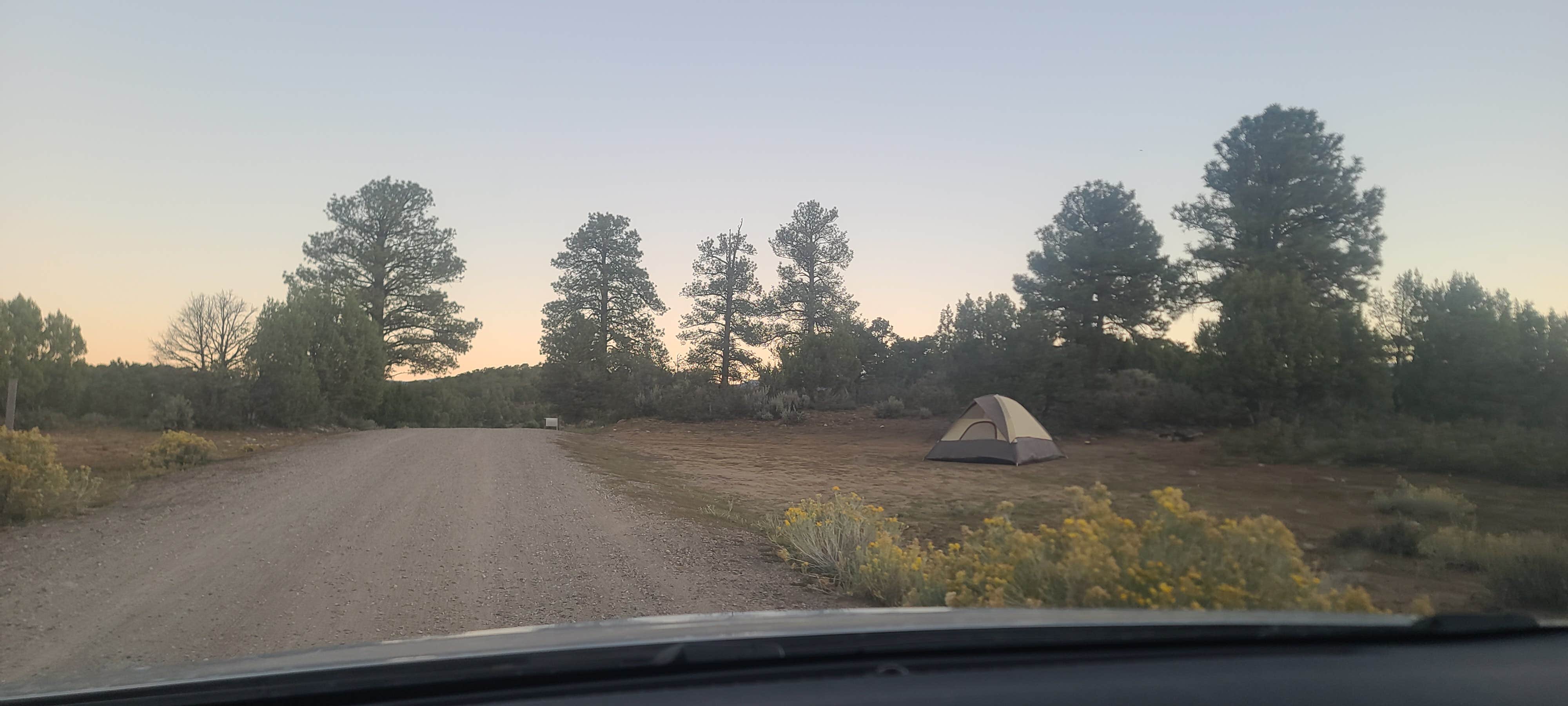 Tanachy B.'s photo of a dispersed camping area at Bayfield/Durango Dispersed Camping near Aztec, NM