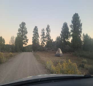 Camper-submitted photo from Junction Creek Campground
