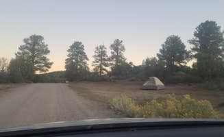 Tanachy B.'s photo of a dispersed camping area at Bayfield/Durango Dispersed Camping near Farmington, NM
