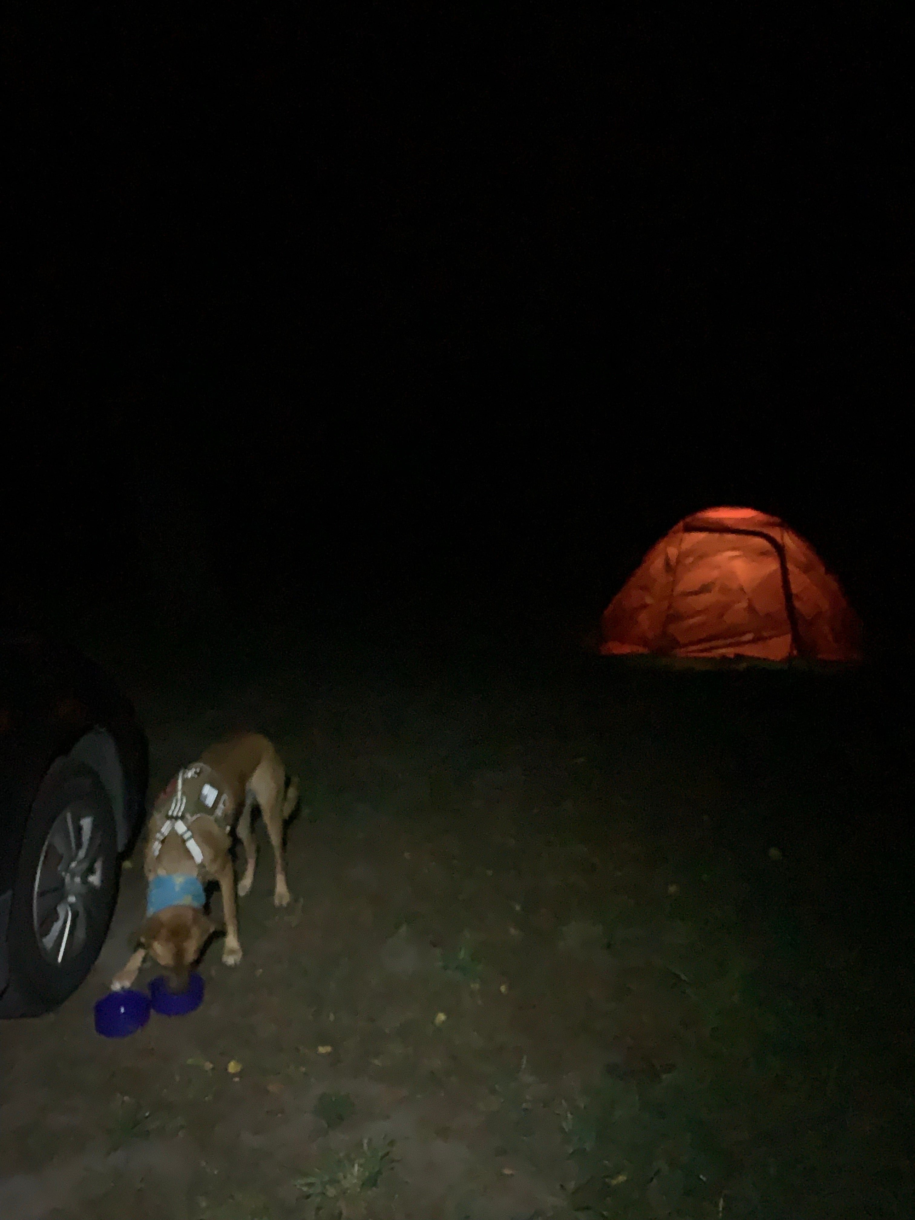 Camper submitted image from Gunderson Park - 1