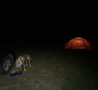 Camper-submitted photo from Yankton - Missouri River KOA Journey