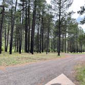 Review photo of Horse Springs Campground by JJ V., June 27, 2022