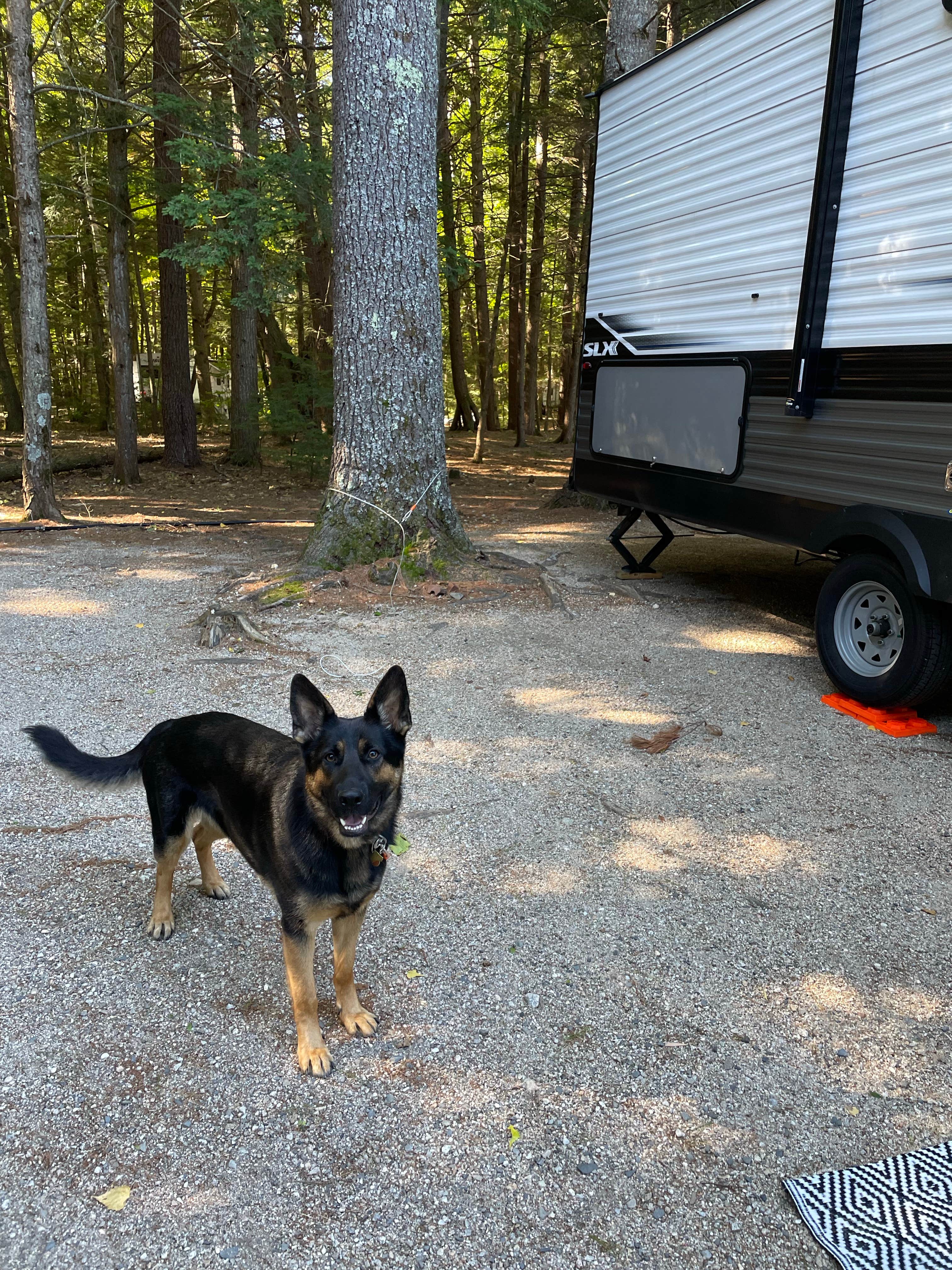 Camper-submitted photo at Tamworth Camping Area near West Ossipee, NH