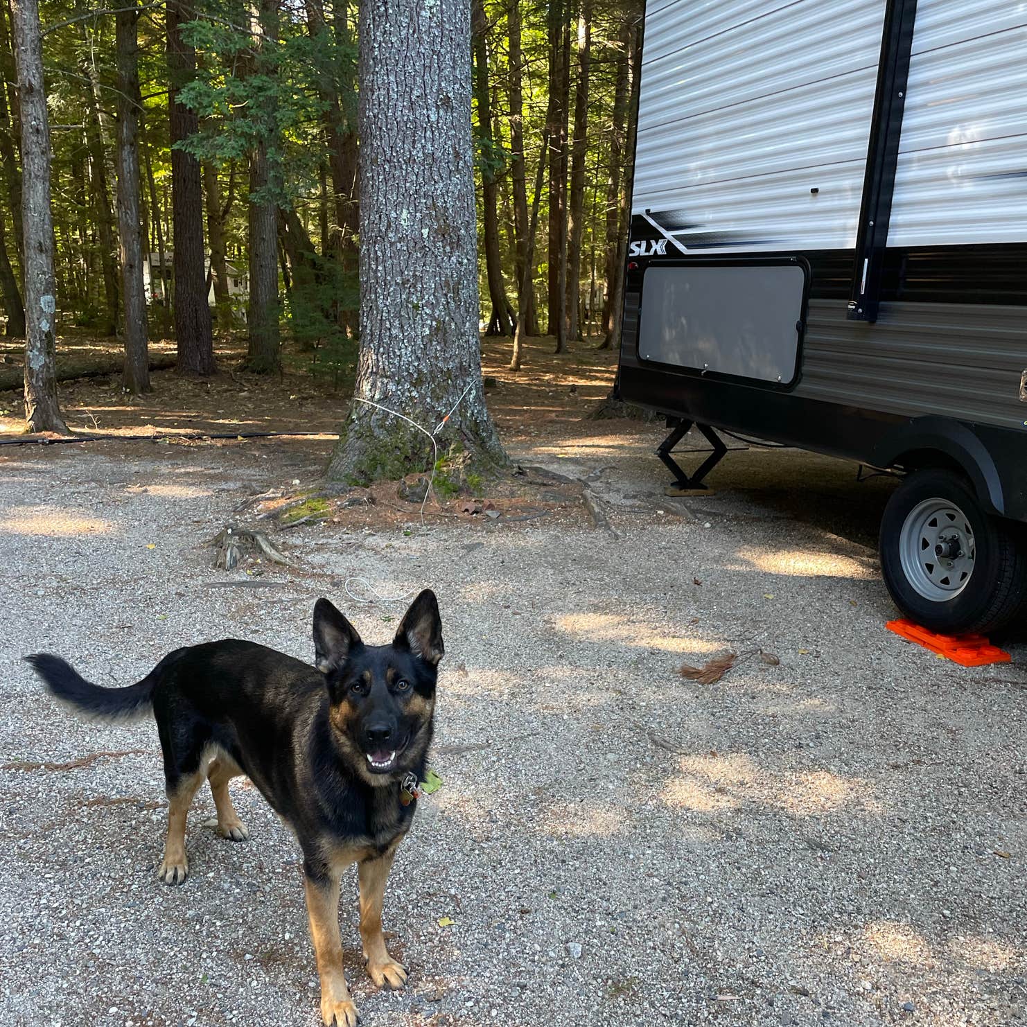 Tamworth Camping Area Camping The Dyrt