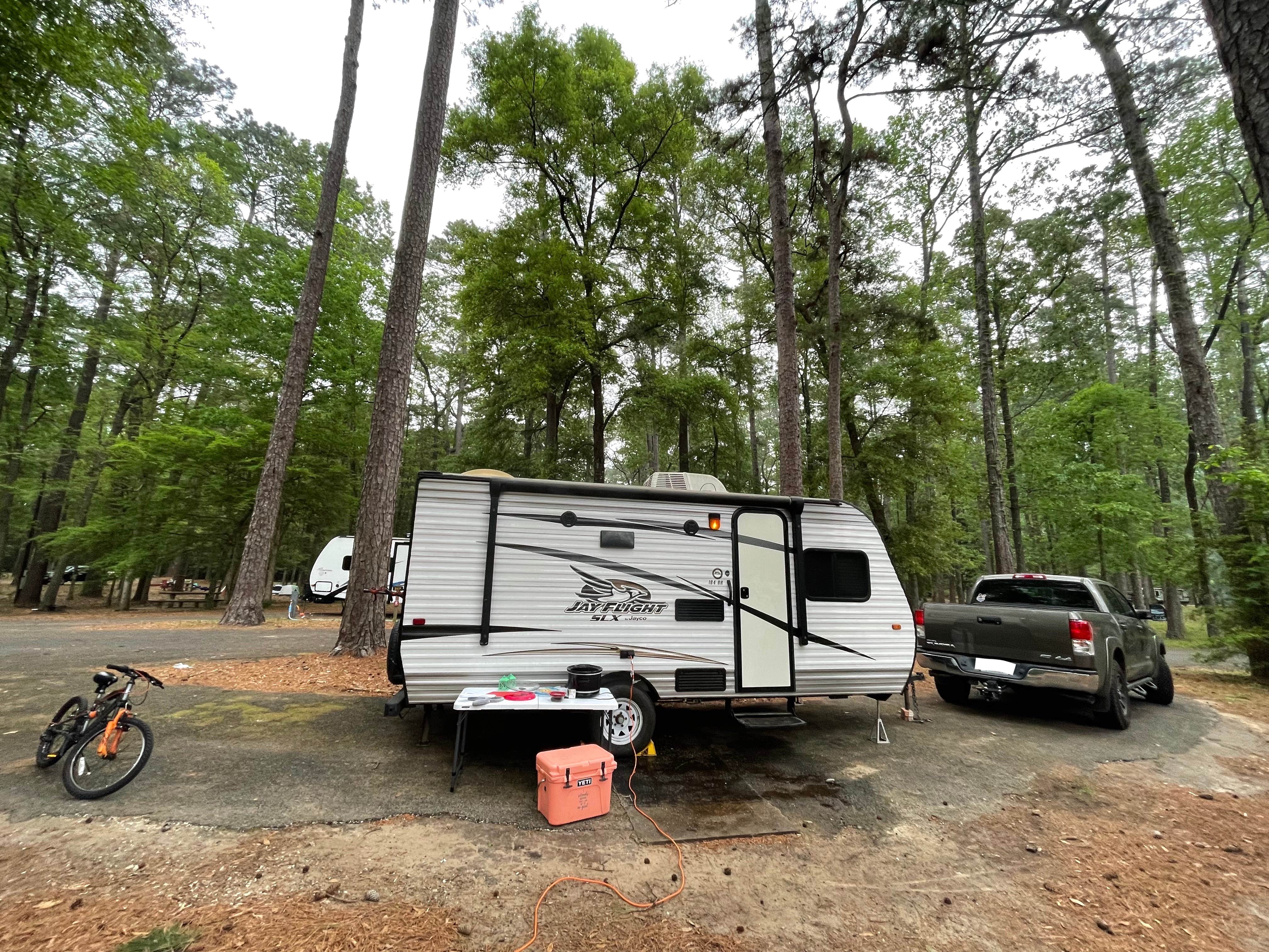 Lisa P.'s photo of rv camping at Martin Dies, Jr. State Park Campground near Steinhagen Lake