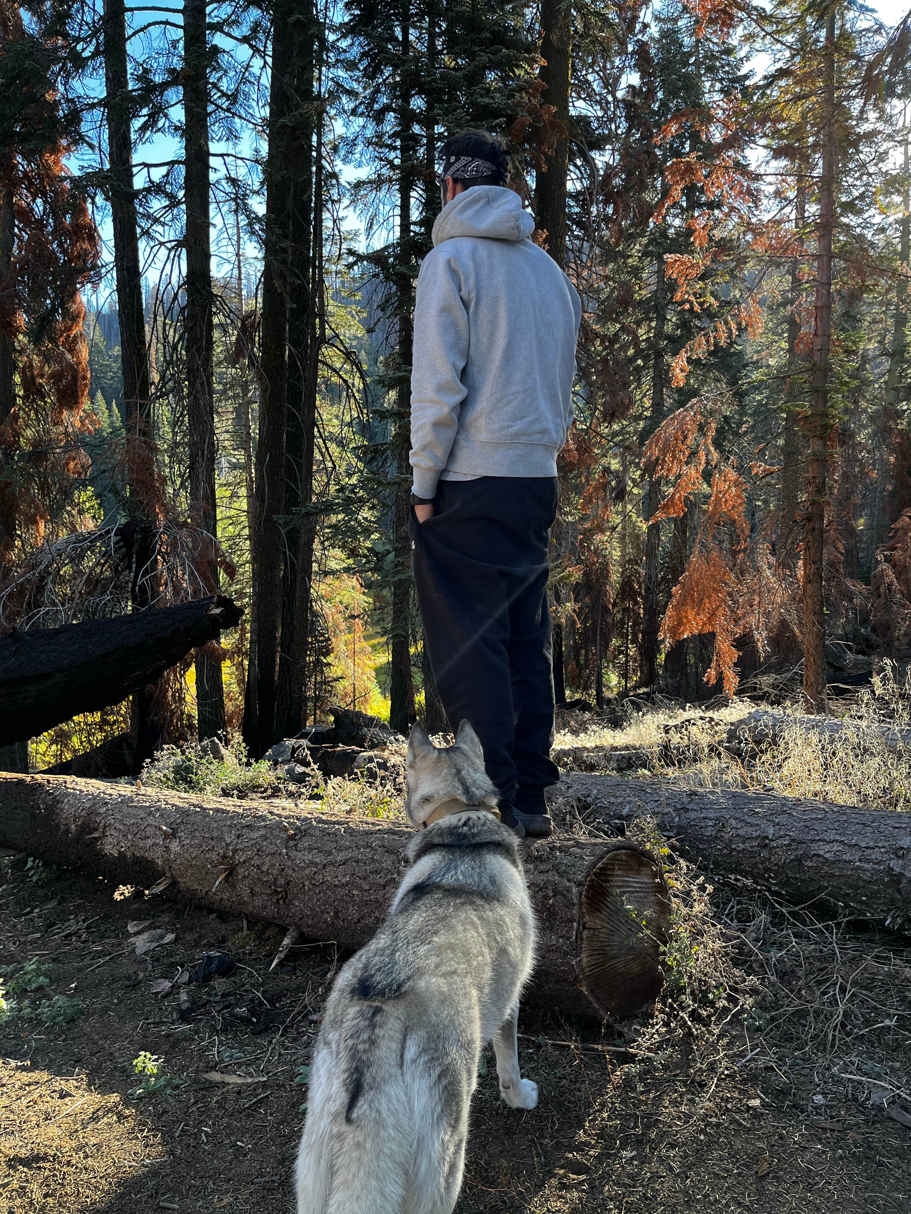 Josh F.'s photo of camping with pets at Grover Hot Springs State Park Campground near Lake Tahoe Basin Management Unit