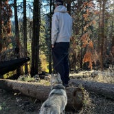 Review photo of Quaking Aspen Campground by Josh F., September 25, 2022
